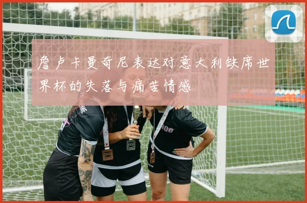 詹卢卡曼奇尼表达对意大利缺席世界杯的失落与痛苦情感