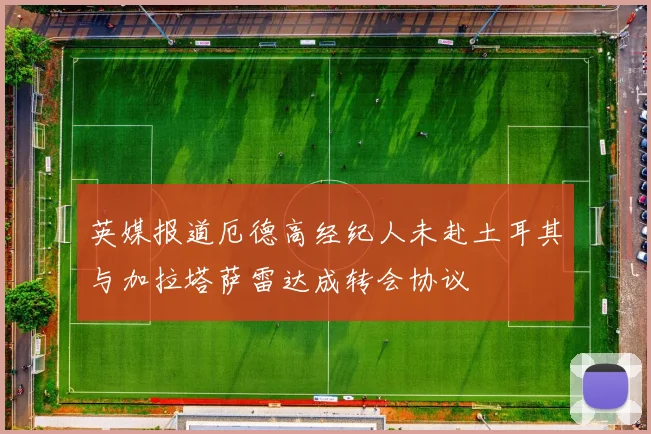 英媒报道厄德高经纪人未赴土耳其与加拉塔萨雷达成转会协议